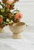 Thorn Compote (2 Sizes)