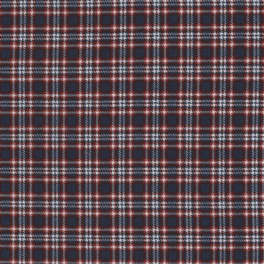 Timeless Treasures - Plaid - Small Plaid, Navy/Red