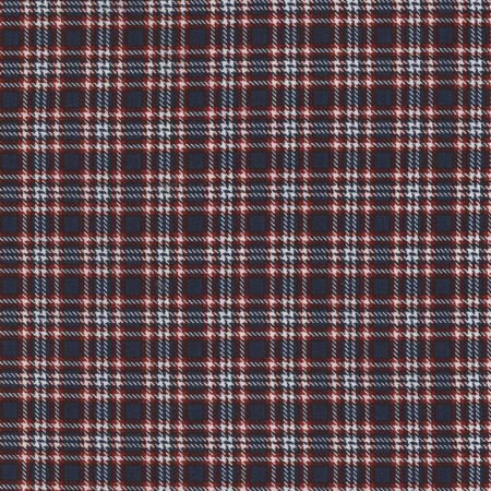 Timeless Treasures - Plaid - Small Plaid, Navy/Red