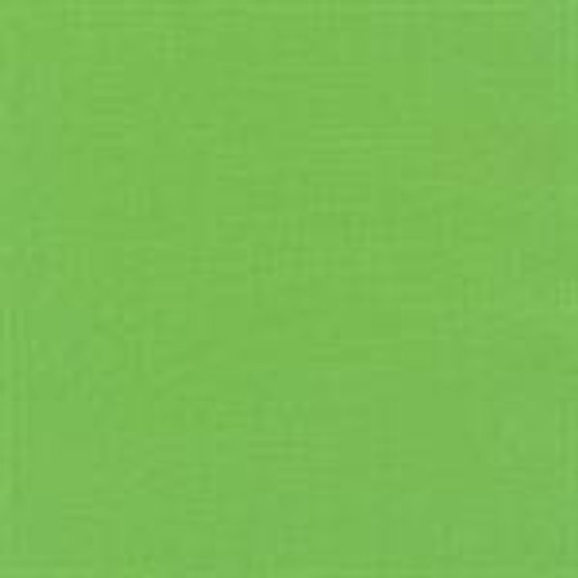 Robert Kaufman - Kona Cotton, Botanical