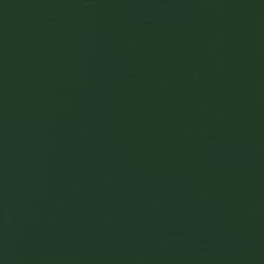 Robert Kaufman - Kona Cotton, Forest