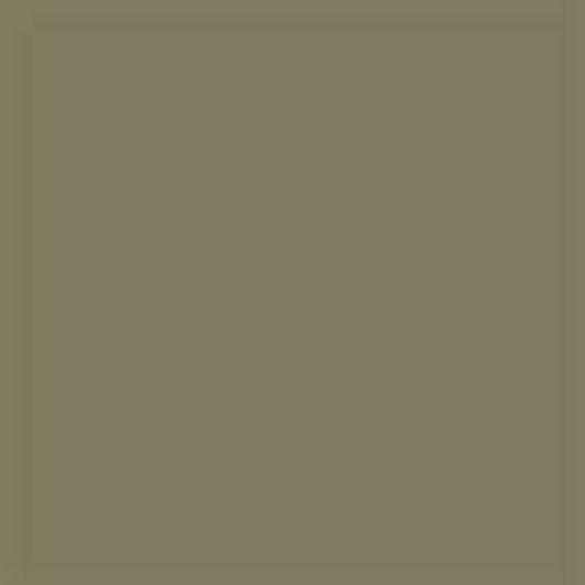 Robert Kaufman - Kona Cotton, Mushroom