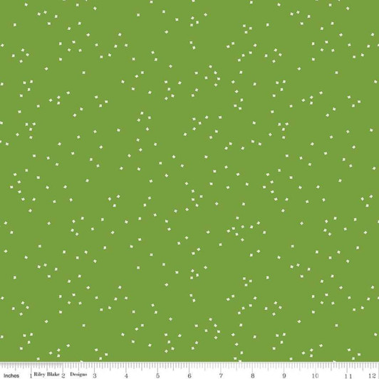 Riley Blake - Blossoms - In Color, Holly