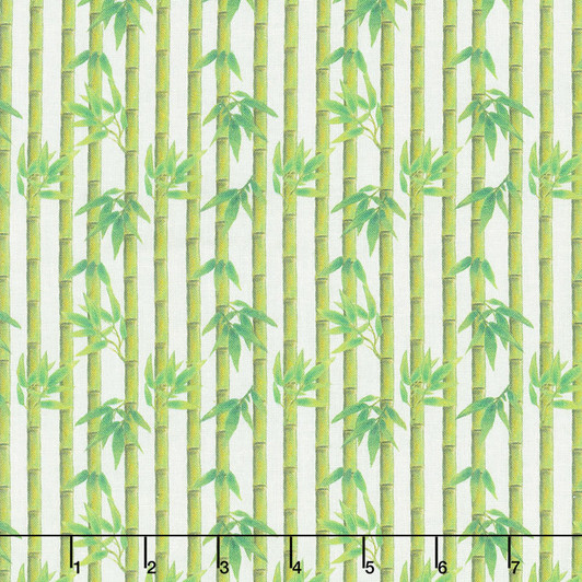 Studio E - Panda Sanctuary - Bamboo Trees, Green