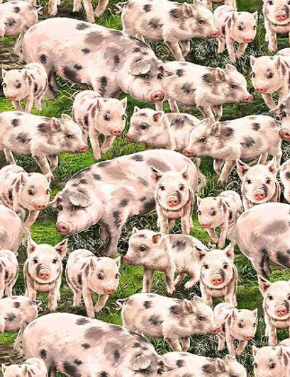 Timeless Treasures - Farm - (Dona) - Packed Pigs, Multi