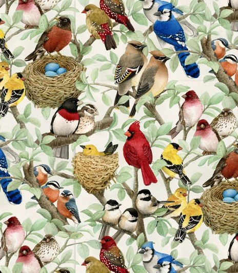 Elizabeth Studio - Beautiful Birds - Tossed Songbirds, Cream