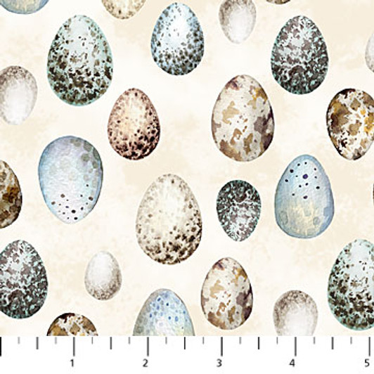 Northcott - Feathered Nest - Eggs, Cream