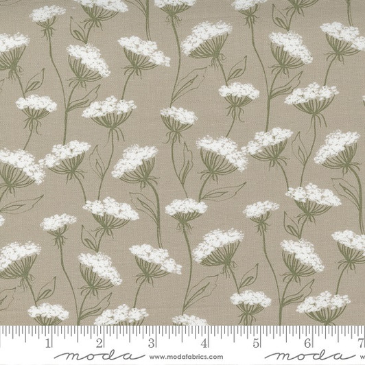 Moda - Flower Pot - Queen Anne's Lace, Taupe