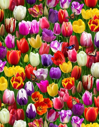 Elizabeth Studio - Burst of Color - Tulips, Multi