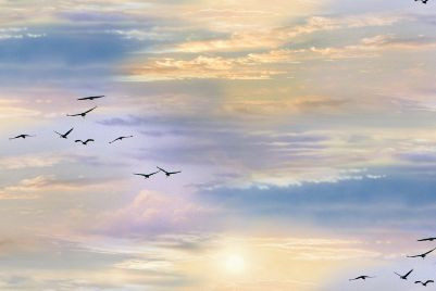 Elizabeth Studio - Landscape Medley - Sky w/Birds, Multi-Colored