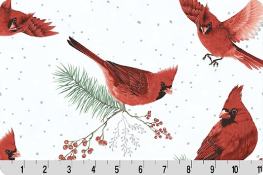 Shannon Fabrics - Cuddle Prints - Frost Flight Digital, Cardinal