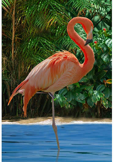 Hoffman California - Call of The Wild - 29.5" Flamingo Panel