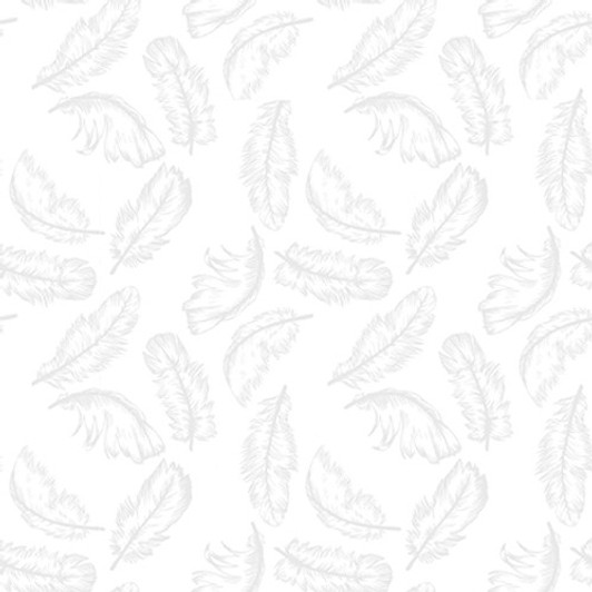 Studio E - More Spaced Out - Feathers, Gray