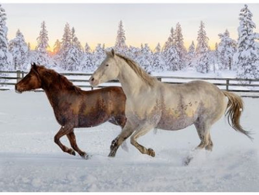 Hoffman California - Call of The Wild - 31.5" Mustang Panel, Sunset