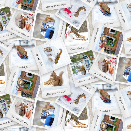 Clothworks - The Secret Life of Squirrels II - Squirrel Photos, Mult