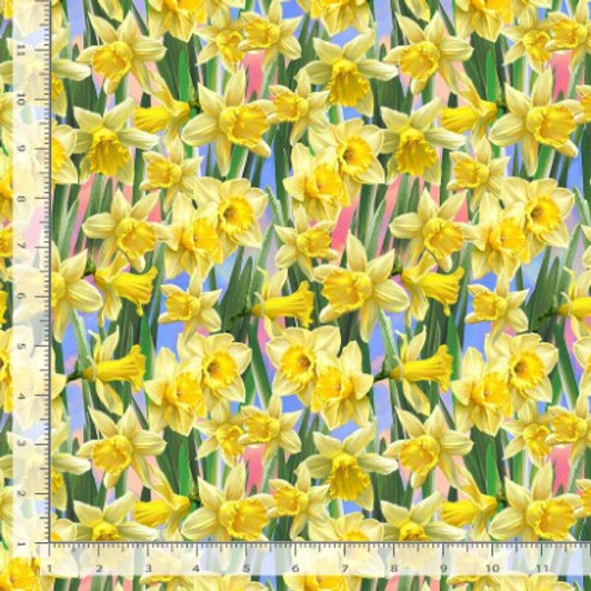Timeless Treasures - Just Hatched - Daffodil, Yellow