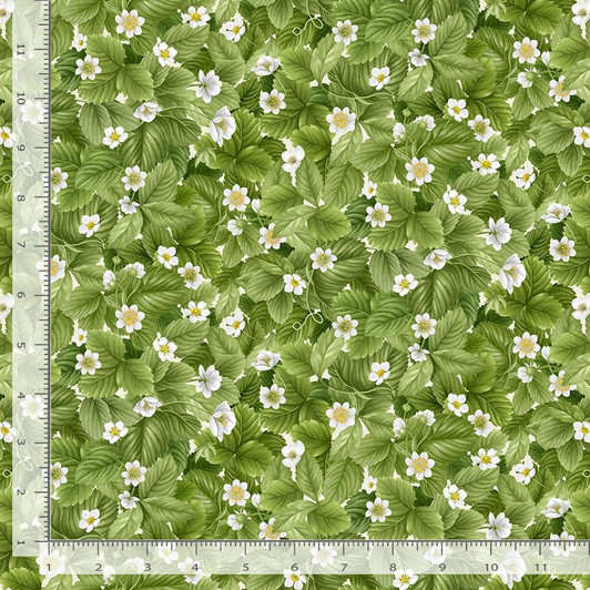 Timeless Treasures - Berry Sweet - Packed Strawberry Leaves, Green