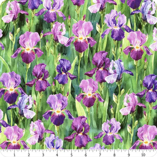 Hoffman California - Flower Shoppe - Iris, Viola