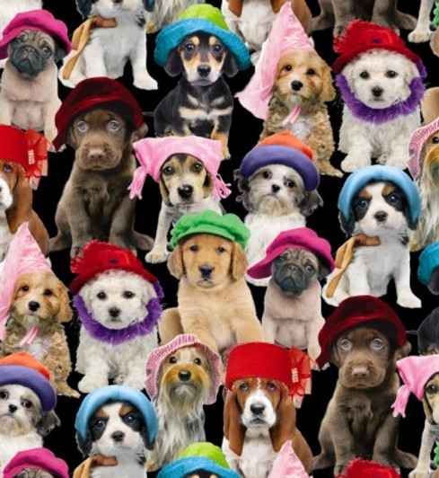 Elizabeth Studio - Adorable Pets - Dogs with Hats, Black