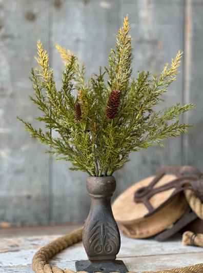 Pick - Prickly Pine 14", Moss