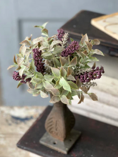 Bush - Autumn Herbs 11", Plum