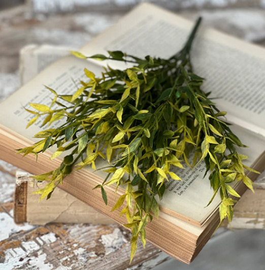 Bush - Olivine Ash 14"