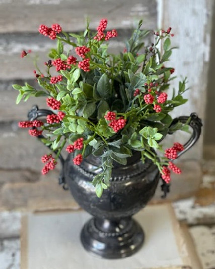 Bush - Nottingham Berry 11", Red