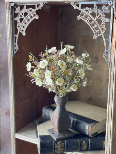 Bush - Julep Blooms 11", Cream