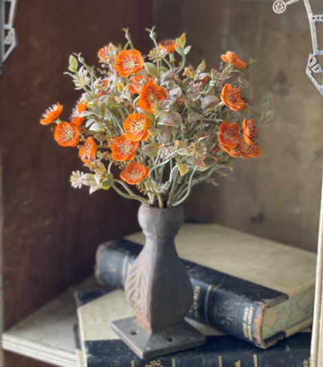 Bush - Julep Blooms 11", Pumpkin