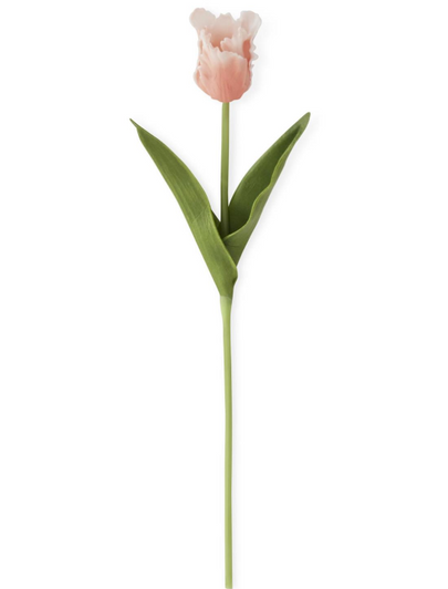 13" Parrot Tulip Stem, Real Touch - Peach