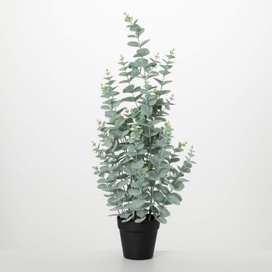 Potted Eucalyptus Tree (2 Sizes)
