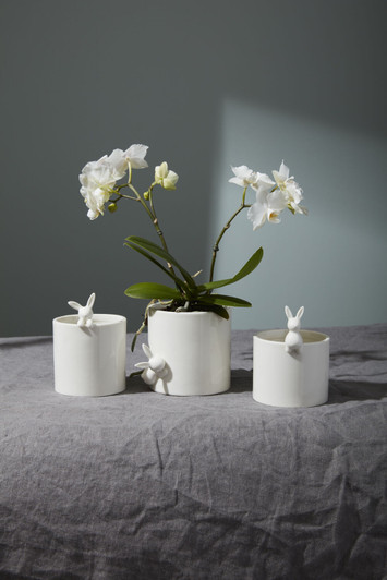Peeking Bunny Pots (3 Sizes)