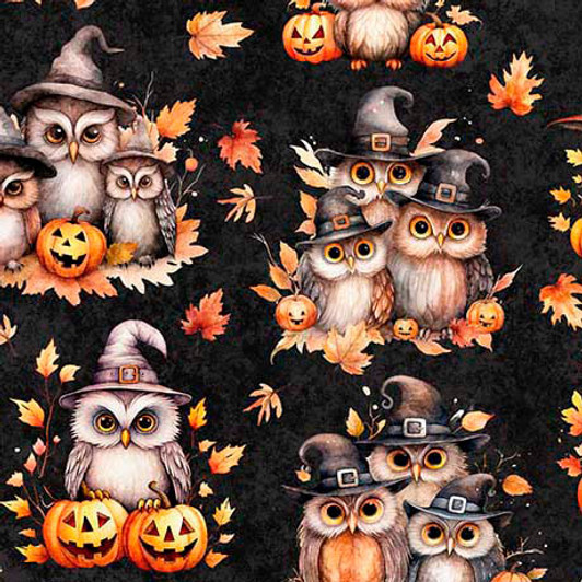 Quilting Treasures - QT Cuties - Halloween Owls, Charcoal