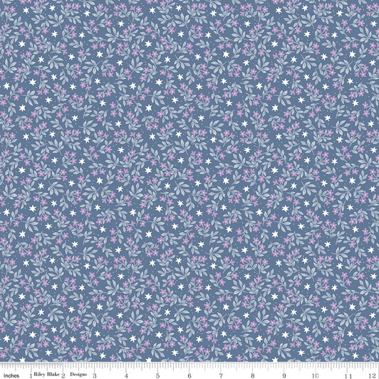 Riley Blake - Twinkle Little Star - Jasmine Stars, Denim