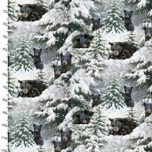 3 Wishes - Under the Moonlight - Hibernation Time, Multi