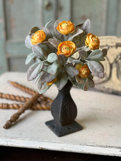 Amberly Blooms, Bush (10.5" tall)