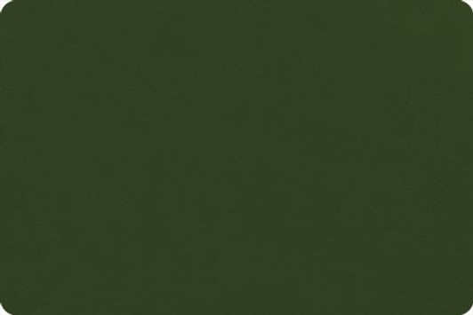 Shannon Fabrics - Quilting Cuddle - Solids, Cactus