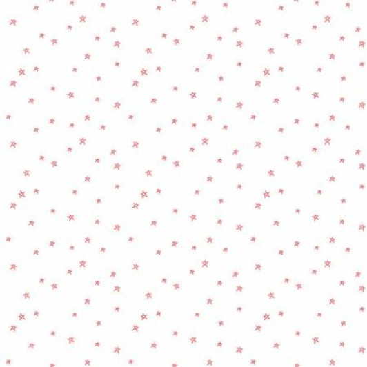 Riley Blake - Bee Backgrounds - Star, Cayenne