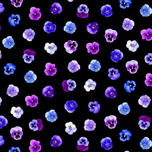 Timeless Treasures - Pansy Perfection - Tossed Pansy Floral, Black