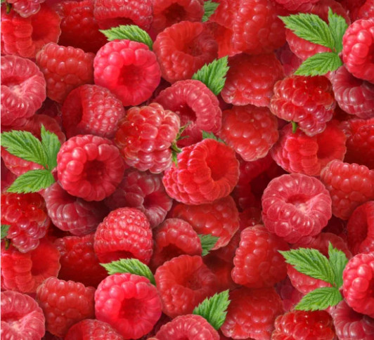 Elizabeth Studio - Berry Good - Raspberries, Red