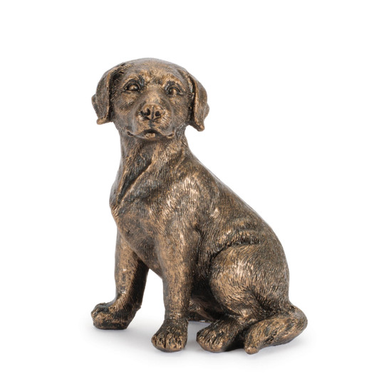 Labrador Retriever, Resin