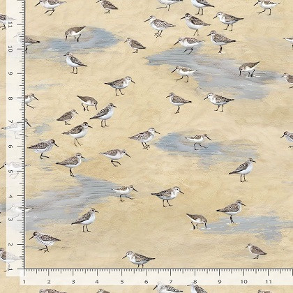 Timeless Treasures - Let Your Light Shine - Sandpipers, Sand