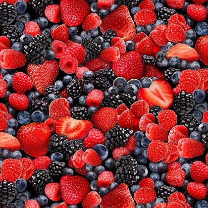 Timeless Treasures - Fruit - Mixed Berries, Multi