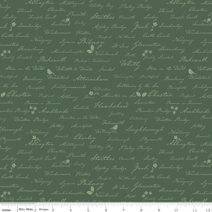 Riley Blake - Ambleside - Town Names, Forest