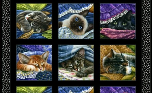 Elizabeth Studio - Cats - 24" Catnap Panel, Black