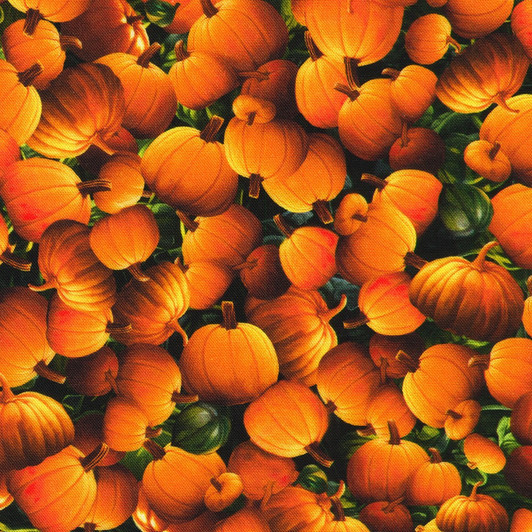 Robert Kaufman - Moon Spell - Packed Pumpkins, Pumpkin