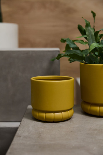 Fara Pot