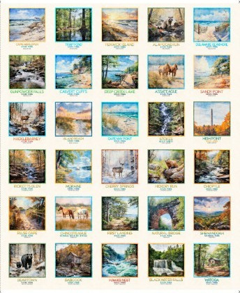 Quilting Treasures - Mid-Atlantic Shop Hop 2026 - Mid Atlantic Wildlife, Navy