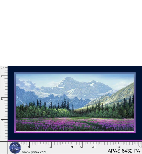 P & B Textiles - Aurora’s Passage - 24" Field of Dreams Panel