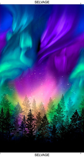 Timeless Treasures - Aurora - 24" Panel, Multi